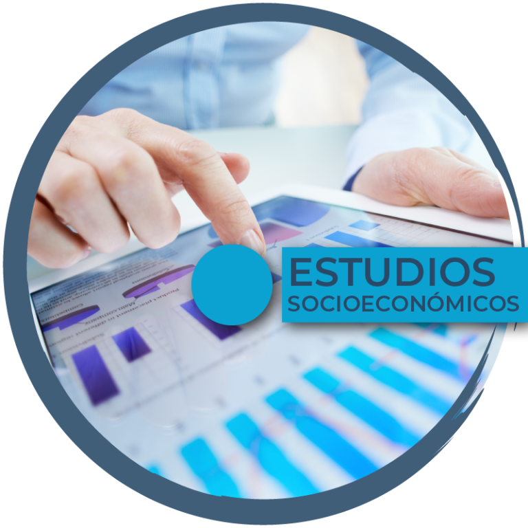 ESTUDIOS SOCIOECONÓMICOS